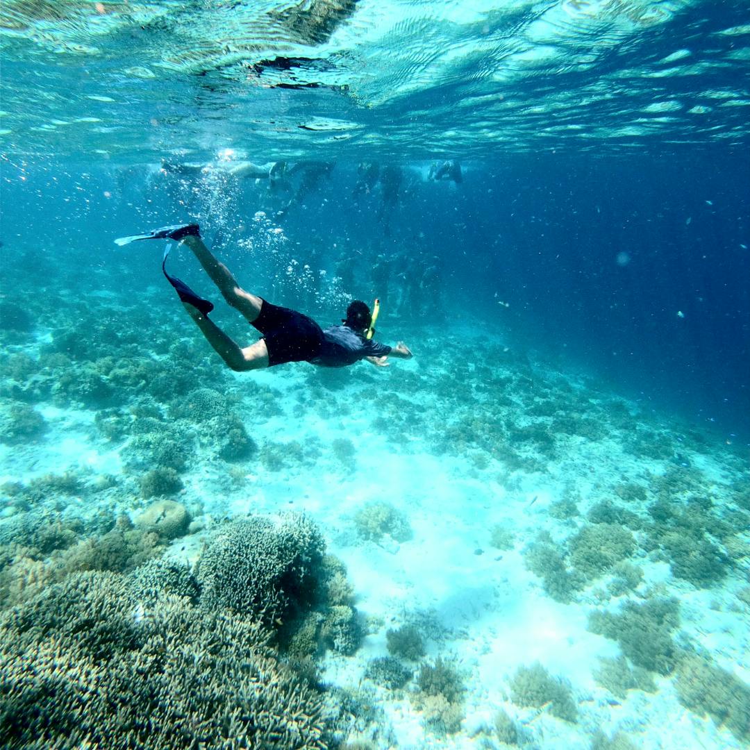 Swimming and Snorkeling